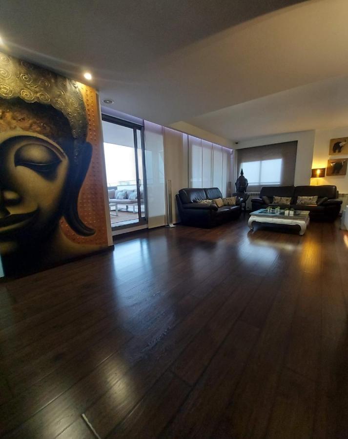Apartmán Atico De Lujo Con Jacuzzi Climatizado En Terraza Elche Exteriér fotografie